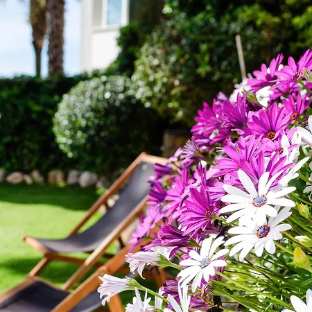 El Riu Del Cel Villa *