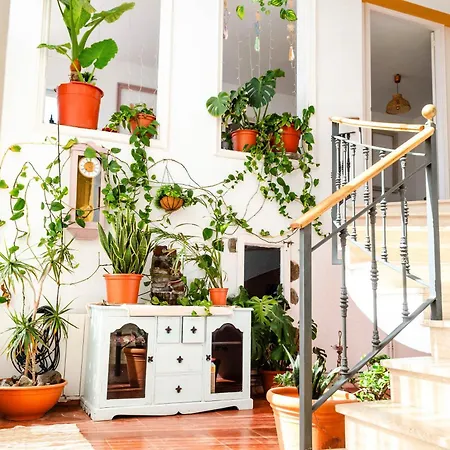 ヴィラ El Riu Del Cel